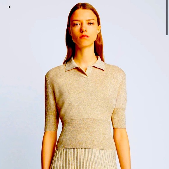 Proenza Schouler Tops - Proenza Schouler metallic ✨knit polo in champagne size M SOLD OUT on website